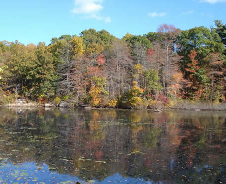 Pond Meadow Park trails and meadow in Braintree Massachusetts